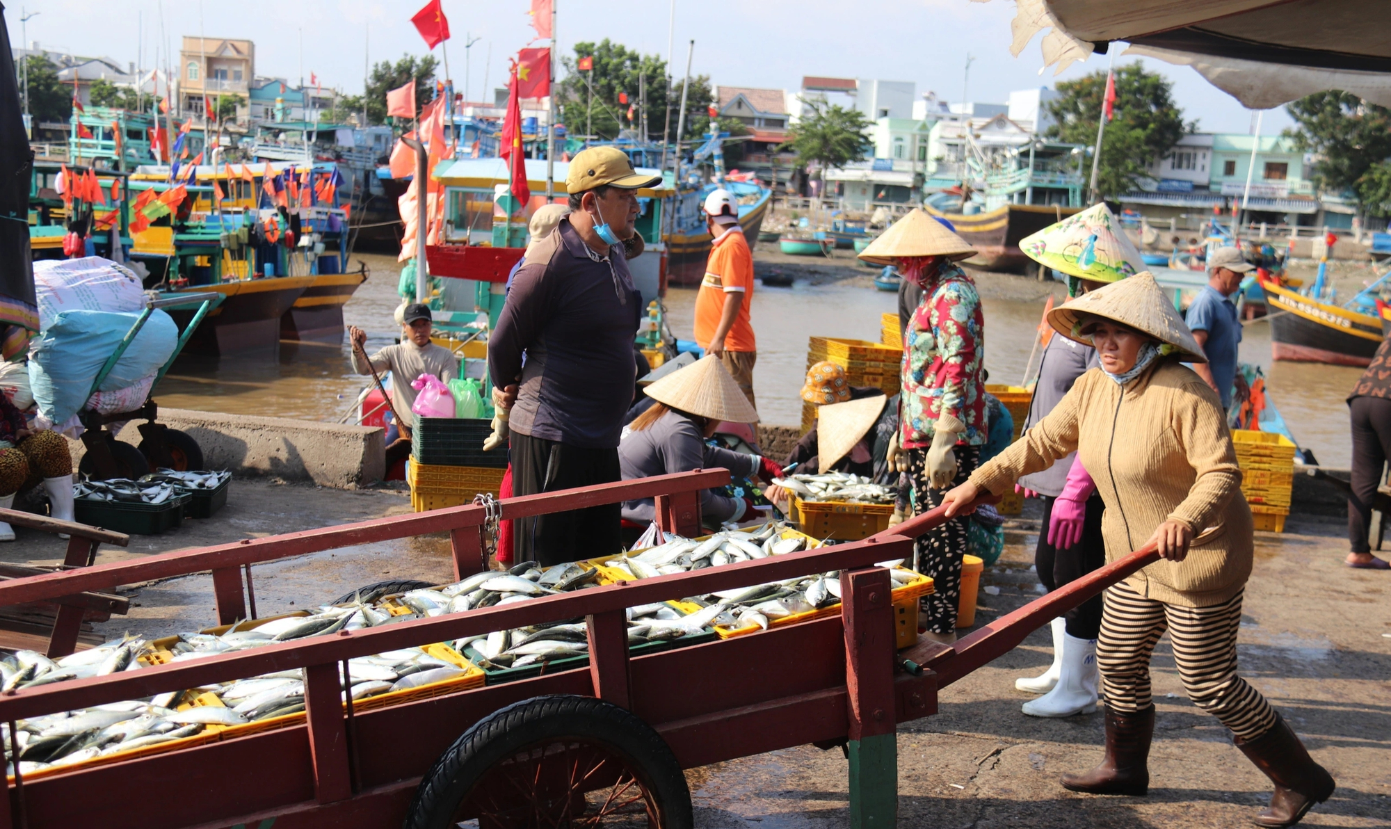 Lâm Đồng: Đột phá, khơi dậy sức mạnh kinh tế biển đảo, tạo cực tăng trưởng mới- Ảnh 7.