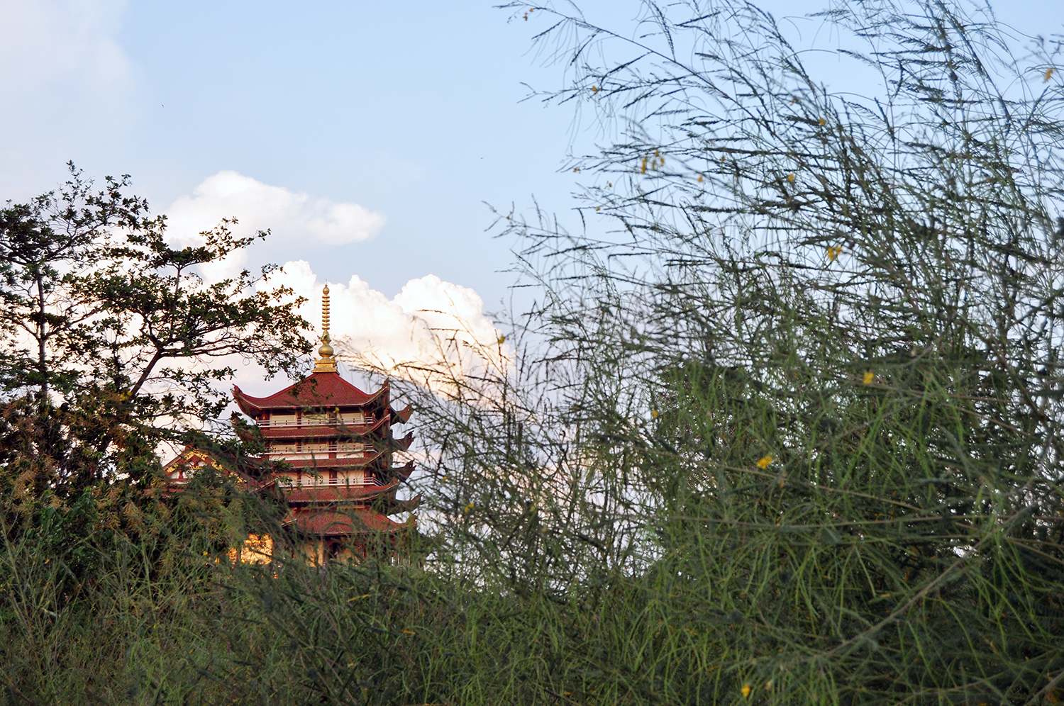 - Ảnh 2. - Ảnh 2.