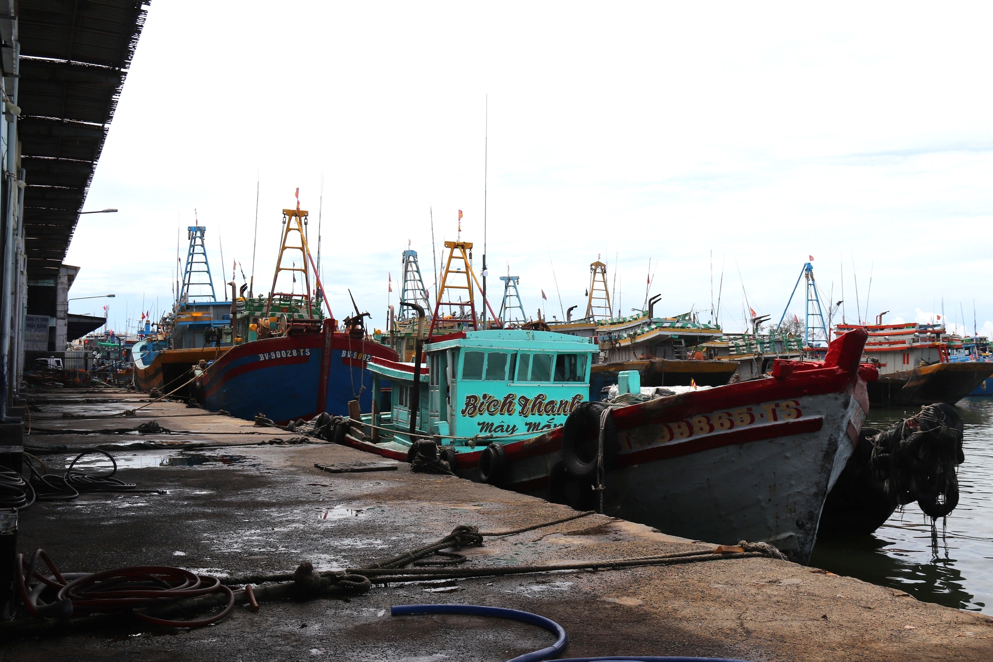 Lâm Đồng siết chặt quản lý đội tàu, quyết liệt ngăn chặn vi phạm IUU- Ảnh 2.