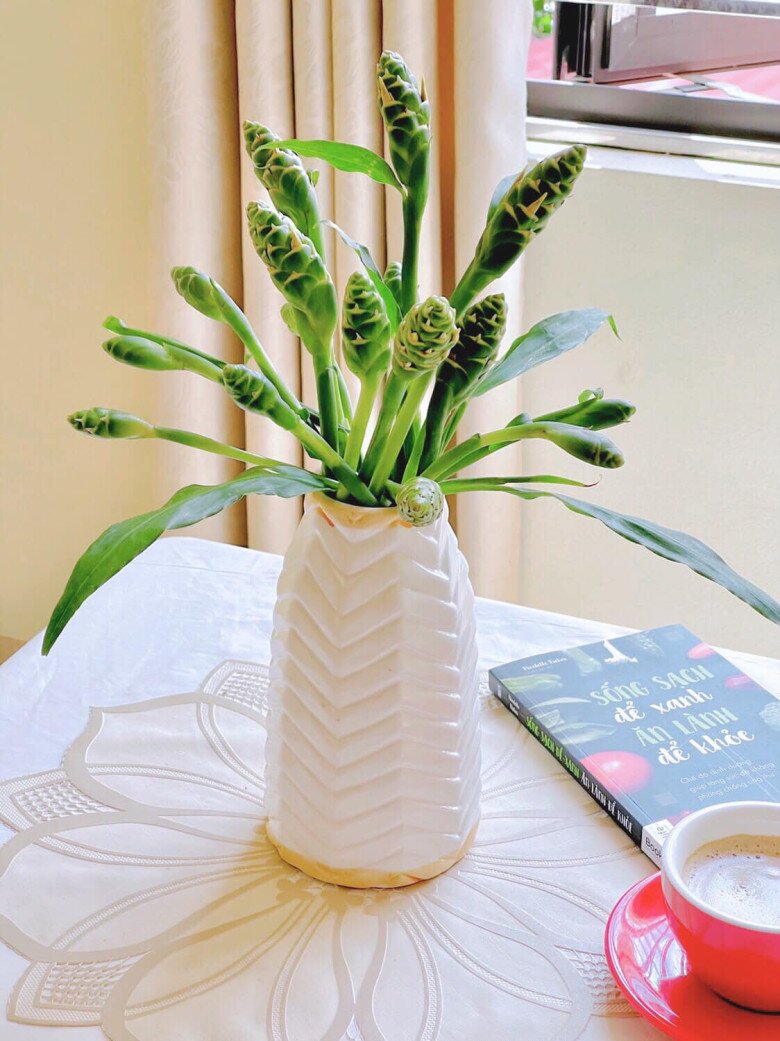 Thứ tưởng măng tây đang khiến chị em Thủ đô amp;#34;lùng sụcamp;#34;: Mỗi năm chỉ có 1 mùa, người chê amp;#34;như bò nhai rơmamp;#34; người lại cực nghiện - 6