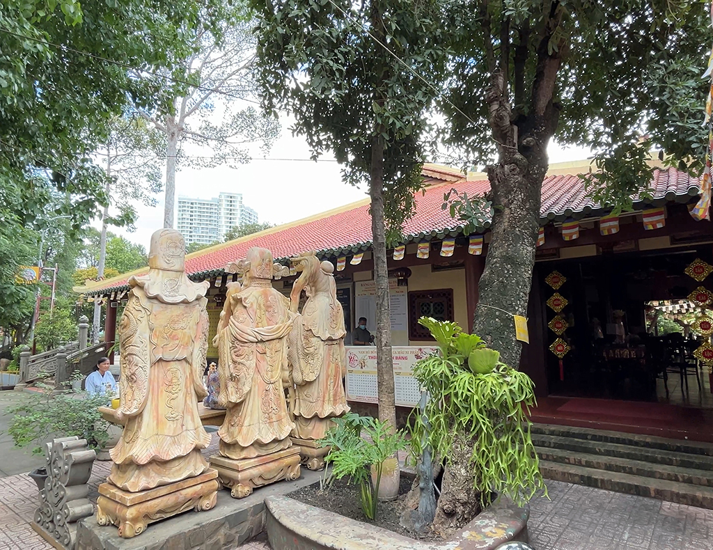 Cội bạch mai cổ thụ trăm tuổi và những câu chuyện Kỳ diệu tại chùa Gò - Ảnh 2.