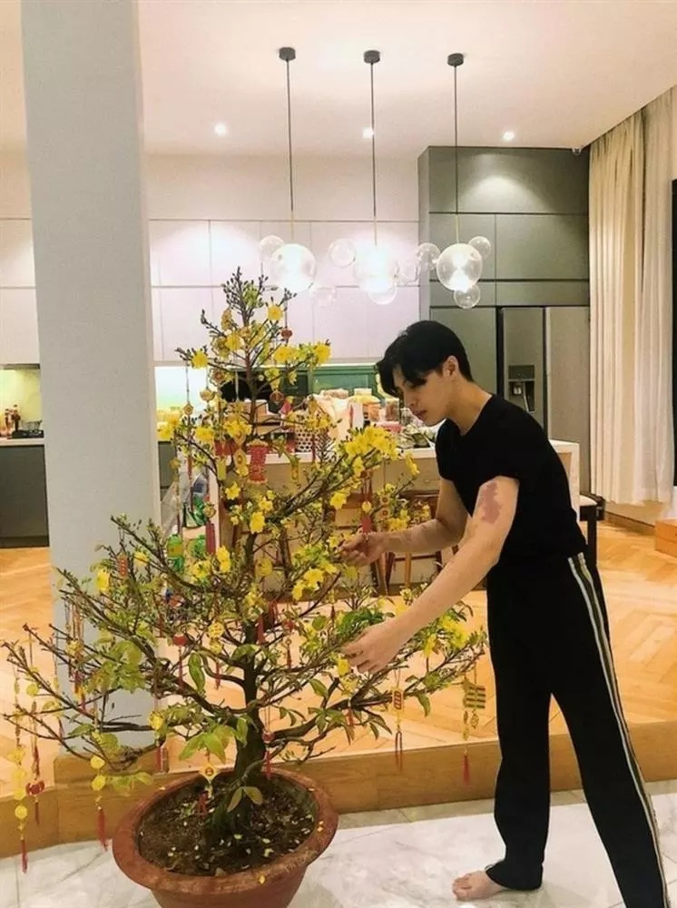 Nam ca sĩ Vbiz sống cô đơn trong căn biệt thự 30 tỷ, 36 tuổi có đủ tiền tài danh tiếng chỉ thiếu mỗi điều này- Ảnh 8.