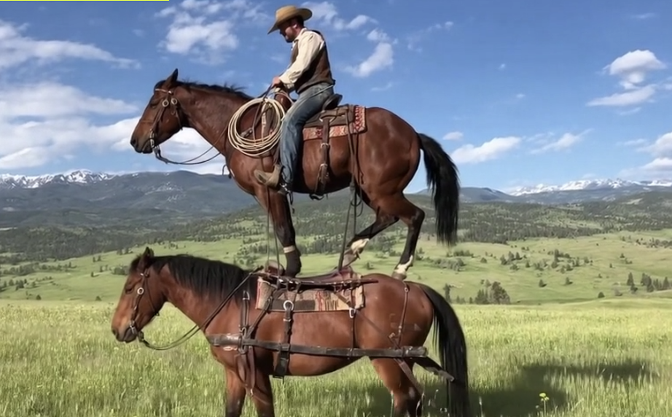 OpenAI ra mắt mạng xã hội Sora giống TikTok nhưng tràn ngập video AI giả mạo 2 OpenAI ra mắt mạng xã hội Sora giống TikTok tràn ngập video AI giả mạo - Ảnh 2.