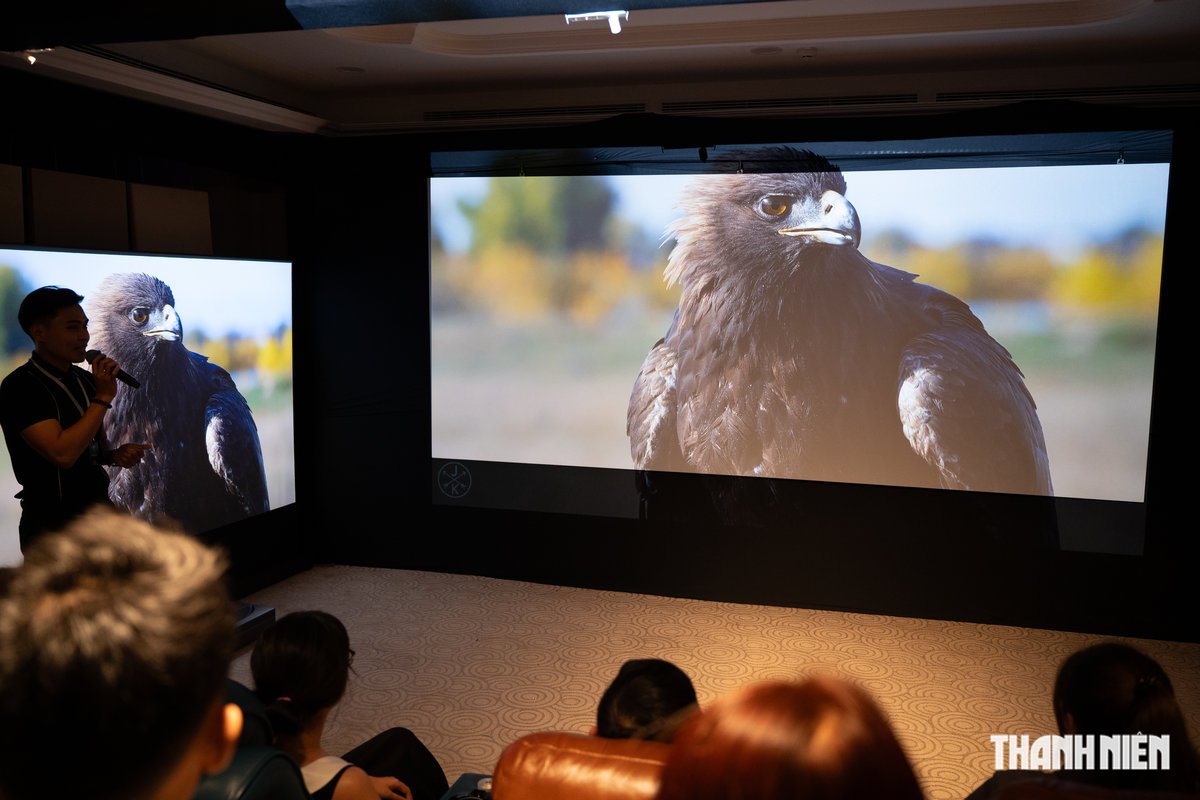 Triển lãm P.H.E Show 2025 khai mạc với nhiều công nghệ giải trí tại gia - Ảnh 2.