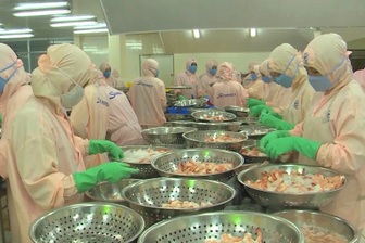 Gia Lai chốt 33 chỉ tiêu, GRDP đầu người phấn đấu đạt 170 triệu đồng 13 Ngành tôm vượt khó, kỳ vọng bứt phá xuất khẩu dịp cuối năm