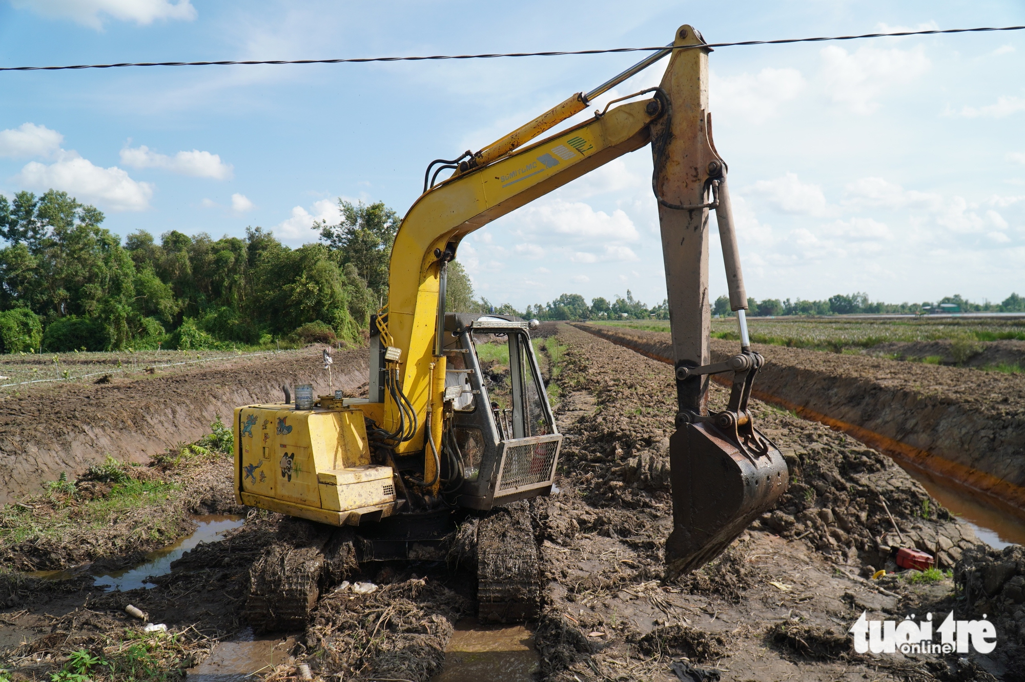 ĐỒNG THÁP MƯỜI - Ảnh 3.