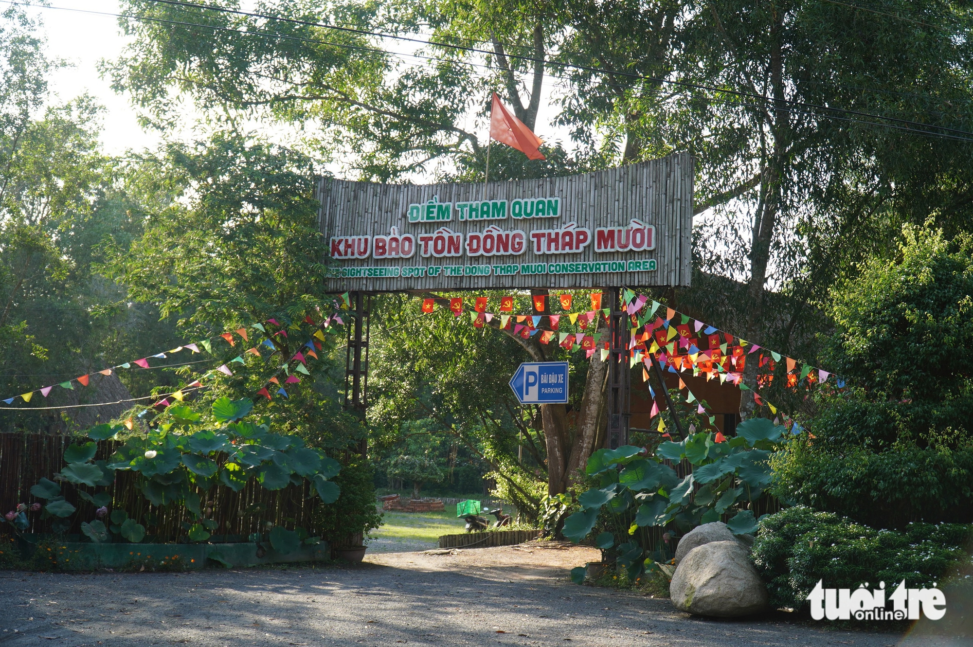 ĐỒNG THÁP MƯỜI - Ảnh 5.