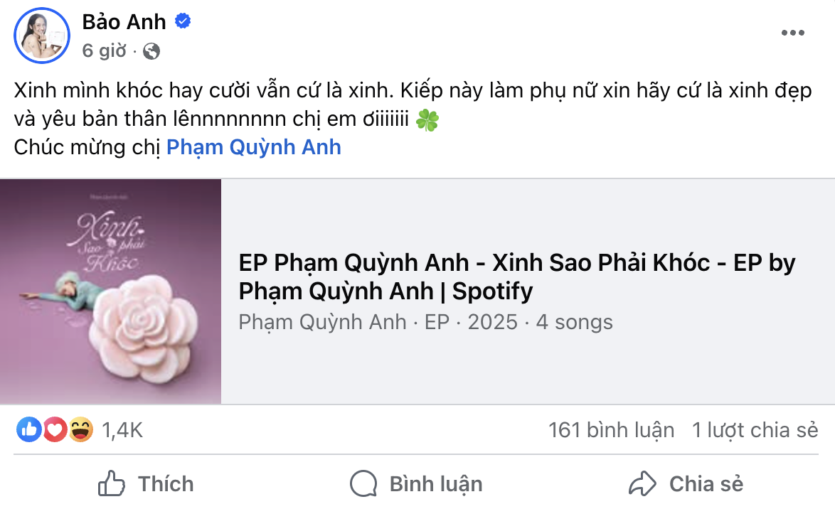 Phạm Quỳnh Anh bơ đẹp Bảo Anh?- Ảnh 1.