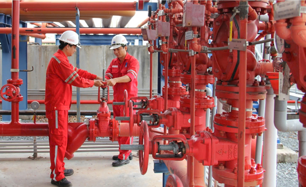 Sức mạnh từ nền tảng con người - Ảnh 2.