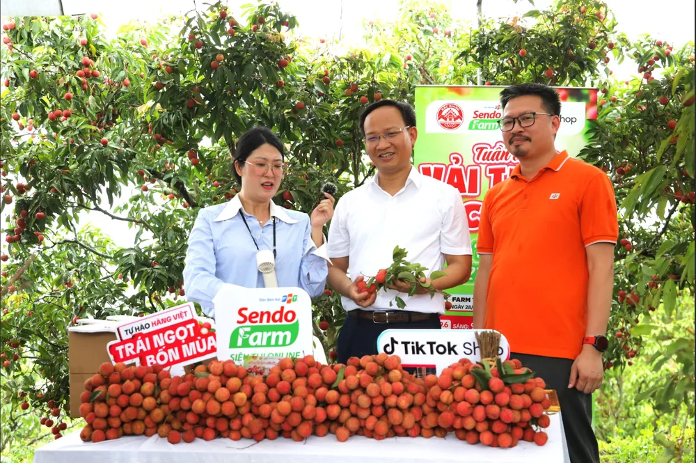 Lãnh đạo tỉnh Bắc Ninh cùng các nền tảng Sendo Farm và TikTok Shop livestream bán vải thiều Lục Ngạn. Ảnh: Long Trần nông sản việt