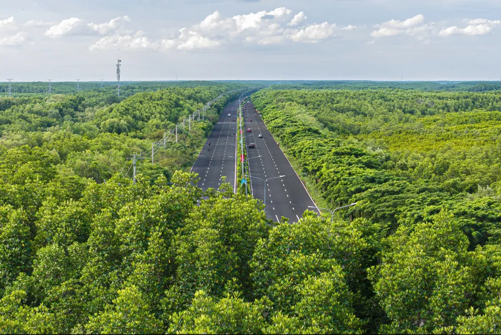 Cần Giờ - khu dự trữ sinh quyển UNESCO, trụ cột cho chiến lược du lịch biển bền vững của TP.HCM. Ảnh: TT.