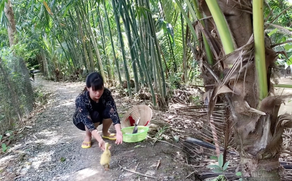 452a5781e3050e63505d4143cb2a80b3 452a5781e3050e63505d4143cb2a80b3