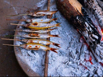 Lộc trời trong lòng hồ trở thành món đặc sản trứ danh ở Bắc Kạn, giòn ngọt thơm phức ai ăn cũng tấm tắc khen ngon