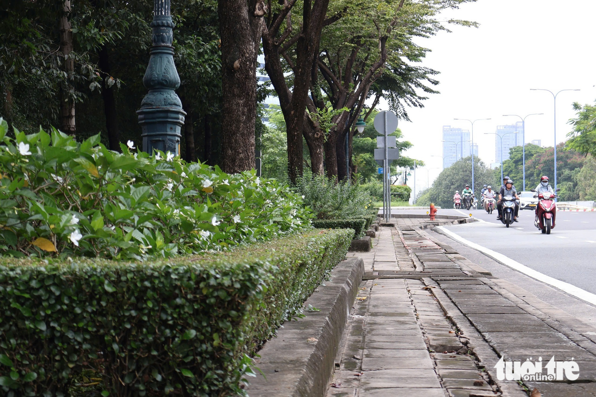 xe đạp - Ảnh 4.