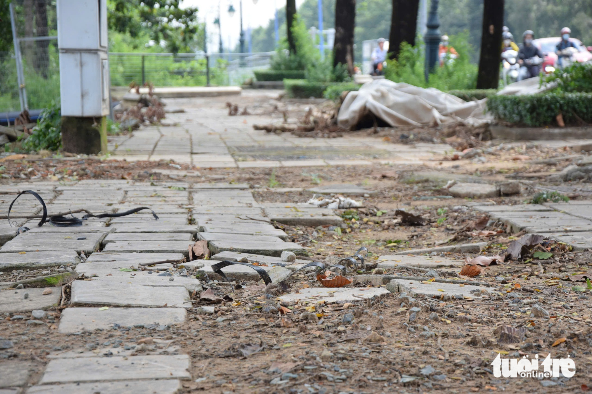 Thi công làn đường ưu tiên cho xe đạp trên đường Mai Chí Thọ - Ảnh 6.