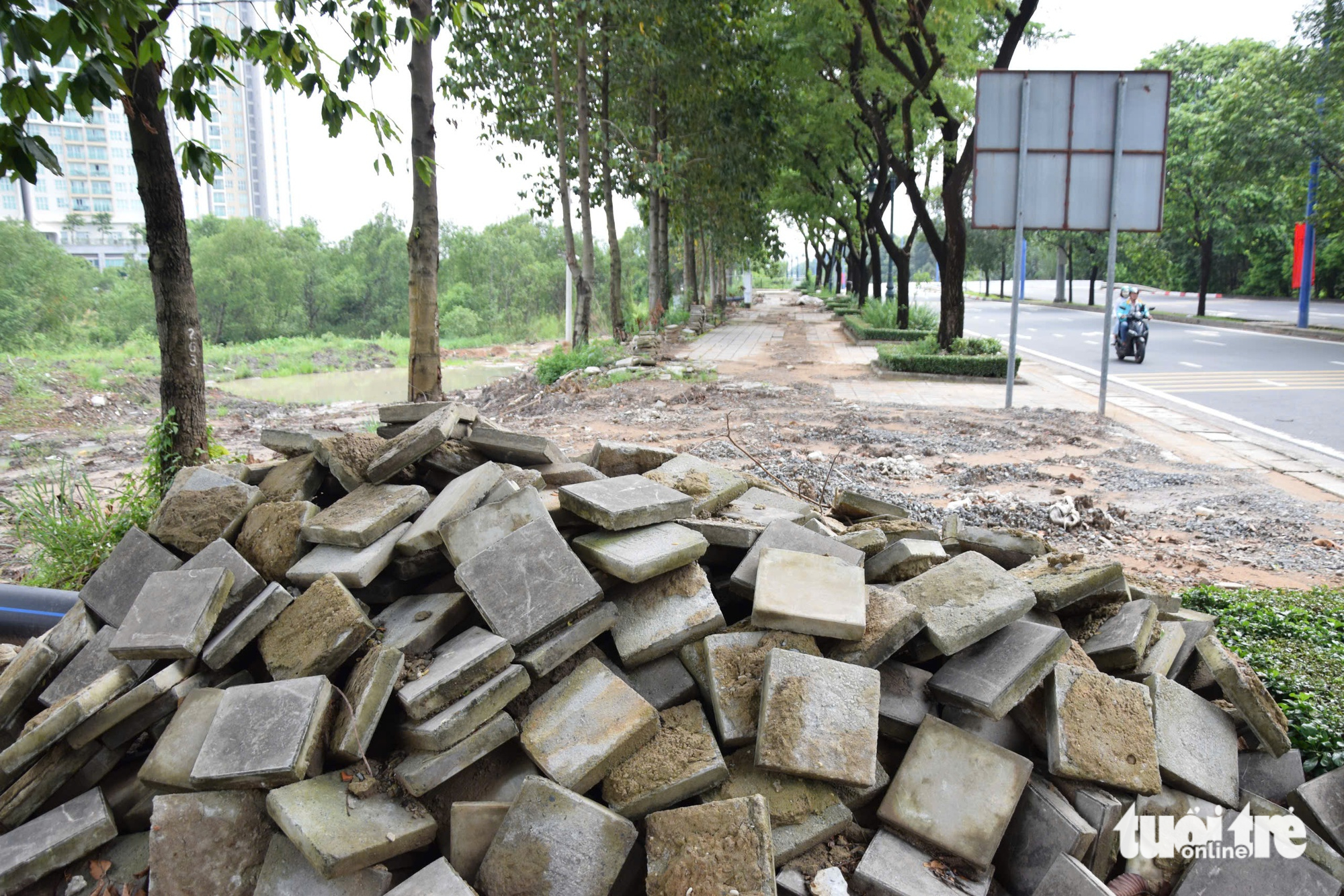 Thi công làn đường ưu tiên cho xe đạp trên đường Mai Chí Thọ - Ảnh 7.