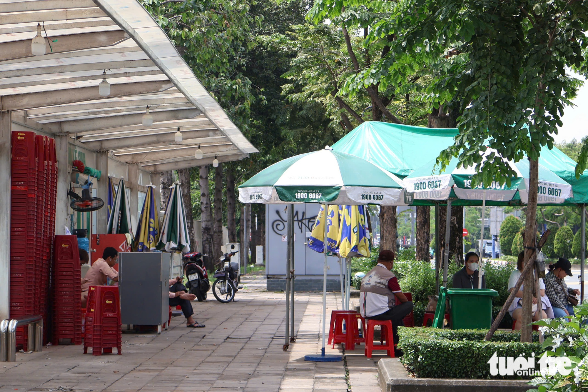 xe đạp - Ảnh 10.