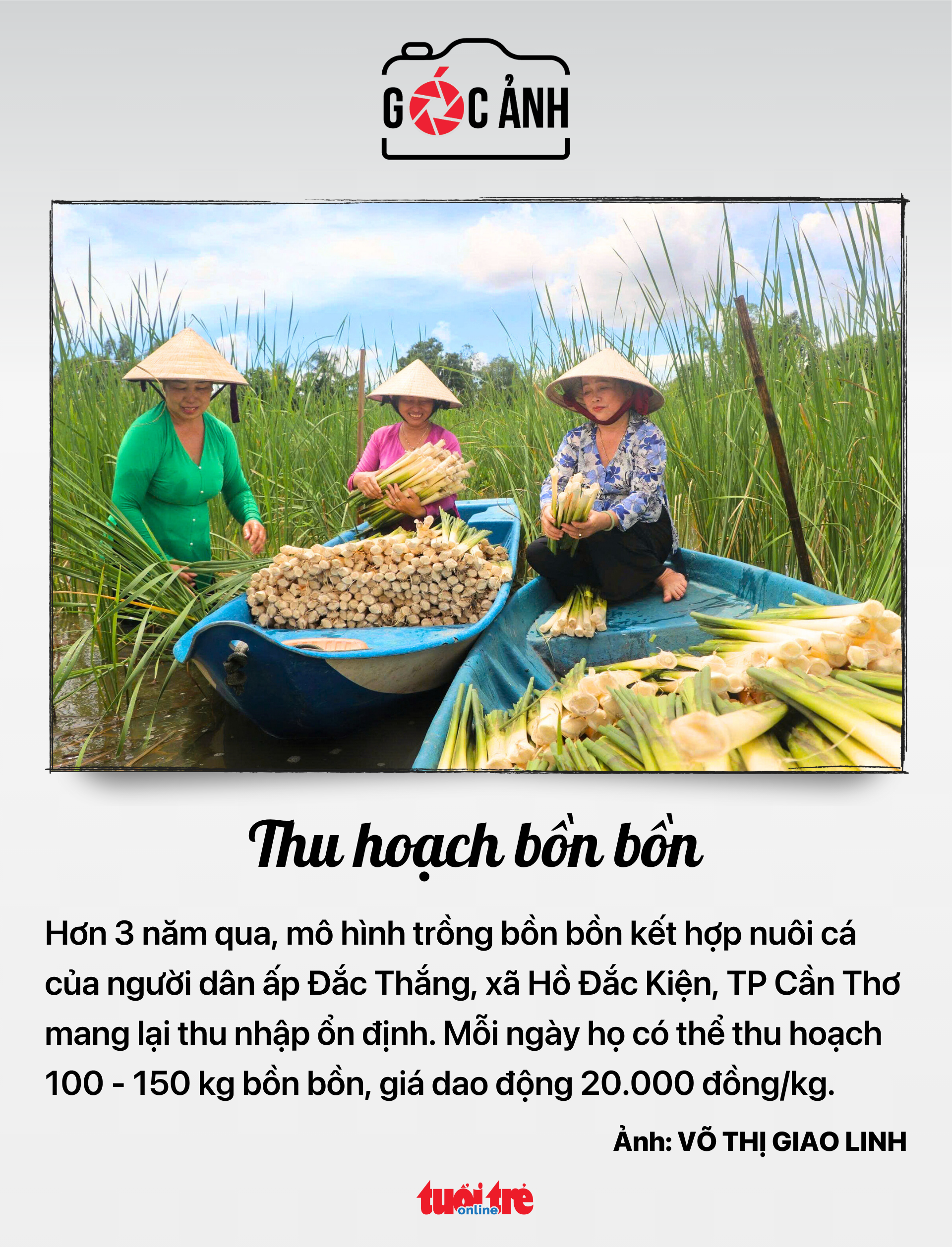 giảm trừ gia cảnh - Ảnh 8.