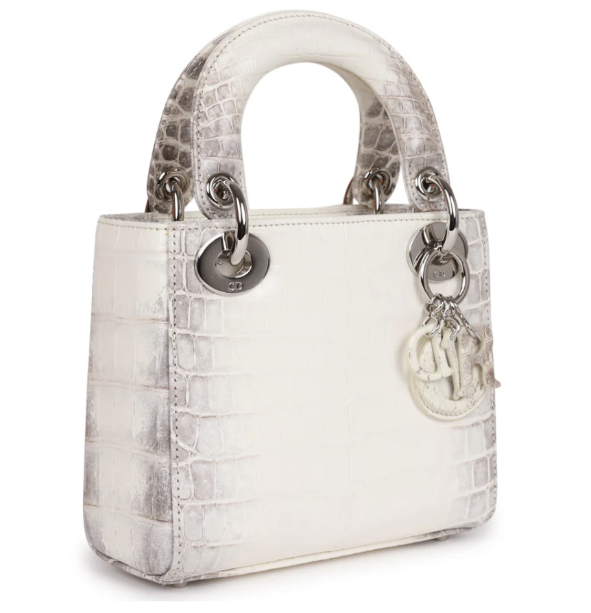 12 chiếc túi hiệu của Phương Oanh- Ảnh 9.