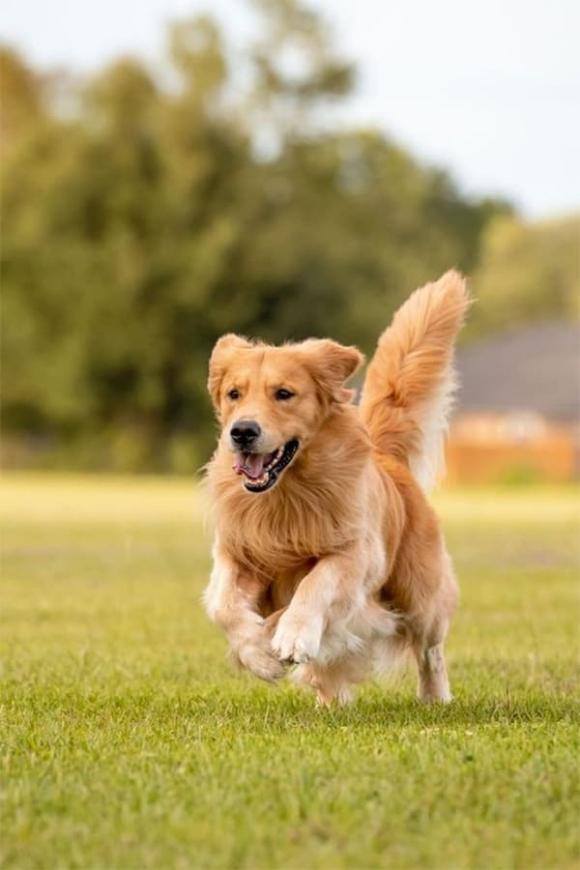 tu-vi-ngay-18-10-2025-cua-12-con-giap (2).jpg 0 Tử vi, con giáp, tử vi hàng ngày, tử vi ngày 18/10/2025