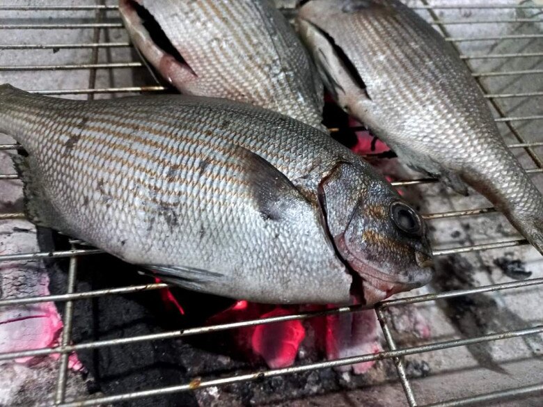 Đảo Lý Sơn có loài cá “thoắt ẩn thoắt hiện” mang cái tên nghe amp;#34;rợn tóc gáyamp;#34; cực khó săn, có tiền chưa chắc mua được - 4