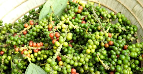 hạt tiêu, hồ tiêu, xuất khẩu, Mỹ