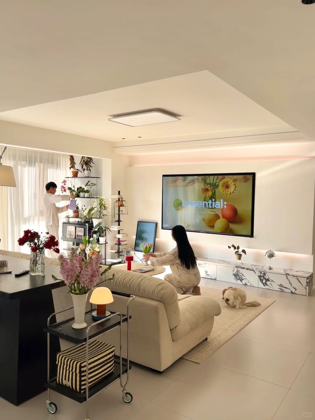 Vì sao ông bà ta thời xưa thường chuộng nhà hướng Nam?- Ảnh 2.