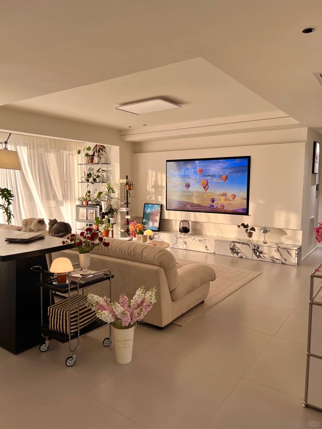 Vì sao ông bà ta thời xưa thường chuộng nhà hướng Nam?- Ảnh 5.