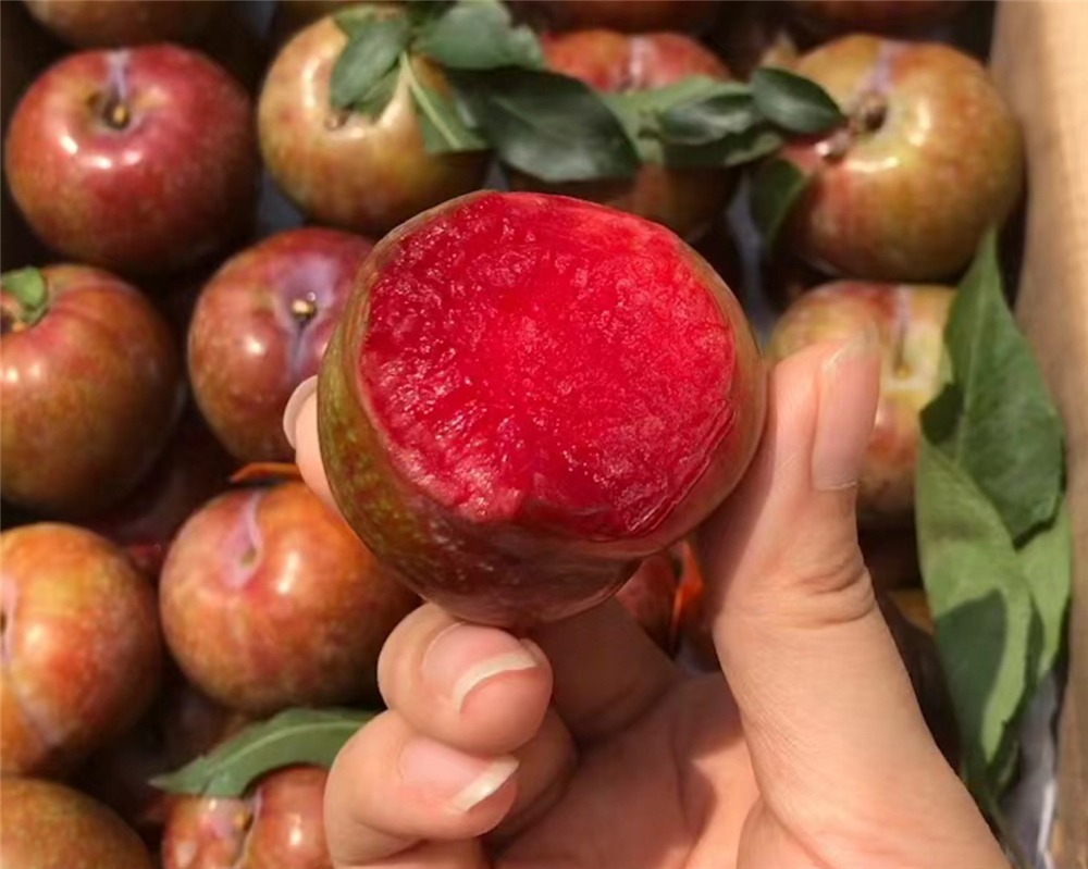 7 loại trái cây này cất vào tủ lạnh là 