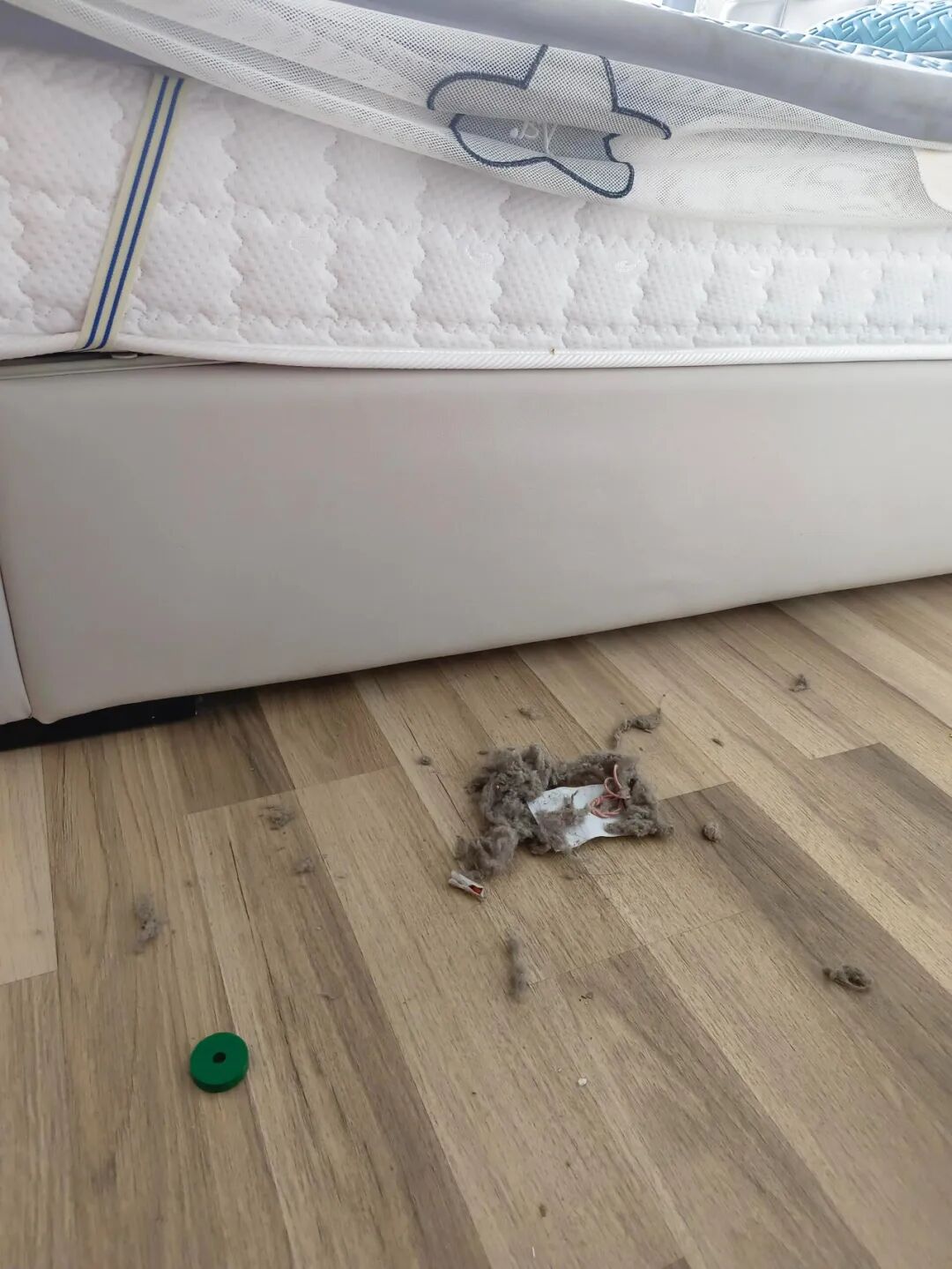 6 kiểu giường dễ hối hận sau khi mua- Ảnh 2.