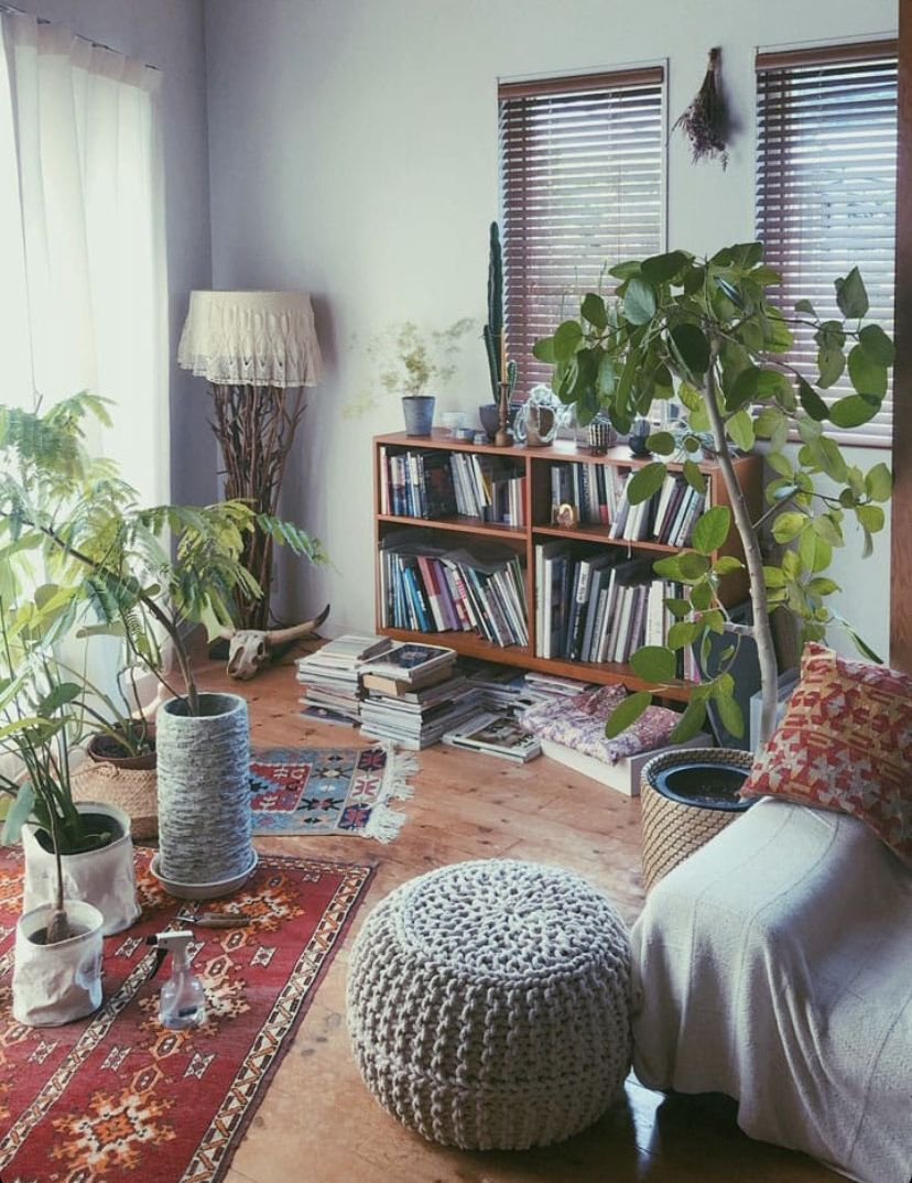 Không cần máy lọc khí: 10 loại cây đặt trong nhà mới giúp bay mùi sơn, hút sạch khí độc chỉ sau vài tuần- Ảnh 2. Không cần máy lọc khí: 10 loại cây đặt trong nhà mới giúp bay mùi sơn, hút sạch khí độc chỉ sau vài tuần- Ảnh 2.