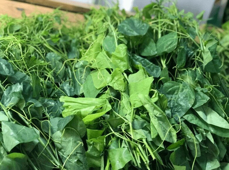 Loại rau khiến khách amp;#34;bịt mũiamp;#34; bỏ chạy lại thành đặc sản xuất khẩu sang Mỹ nhờ hương vị lạ và siêu bổ dưỡng - 3