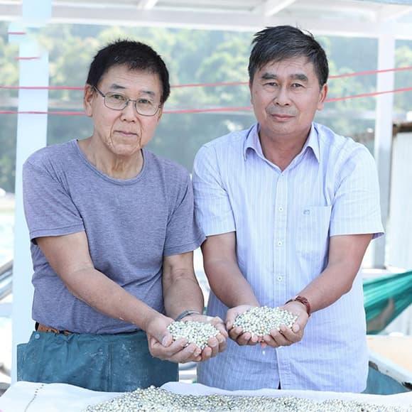 vua ngọc trai, ngọc trai, tỷ phú, Hồ Phi Thủy