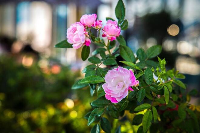 Một người có nhiều tiền hay không, chủ yếu quyết định bởi 3 người này - 2