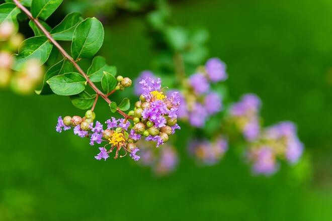 Một người có nhiều tiền hay không, chủ yếu quyết định bởi 3 người này - 3