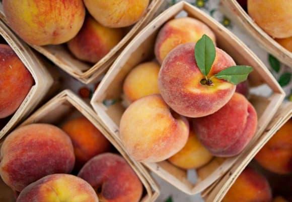 collagen, ung thư vú, trái cây ngăn ung thư vú