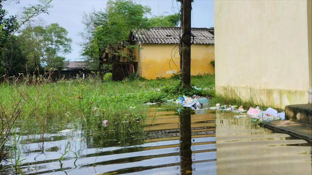 san-truong-ngap-nuoc (1).jpg