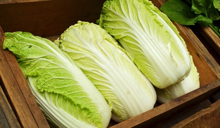 Mua cải thảo nên chọn cây xanh hay trắng, người trồng mách 3 tuyệt chiêu giúp không lần nào chọn nhầm - 2