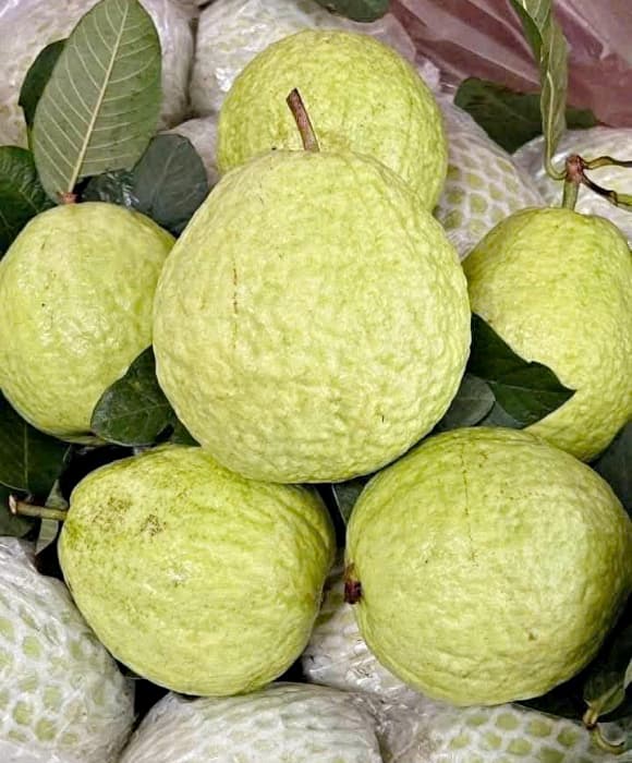 ổi, cách chọn ổi ngon