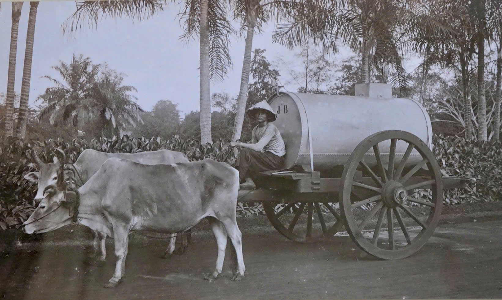 Sài Gòn 'Hòn ngọc Viễn Đông' cách nay một thế kỷ qua bộ ảnh mới công bố- Ảnh 4.