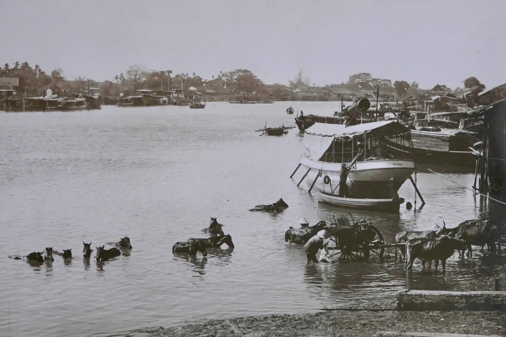 Sài Gòn 'Hòn ngọc Viễn Đông' cách nay một thế kỷ qua bộ ảnh mới công bố- Ảnh 5.