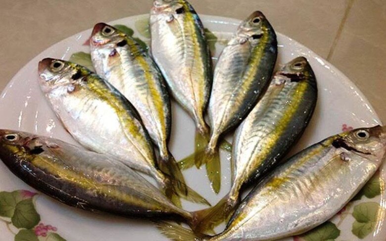 Loài cá tên như con gái là đặc sản chị em amp;#34;săn lùngamp;#34;, thịt ngọt ngon săn chắc lại thơm béo như phomai - 2