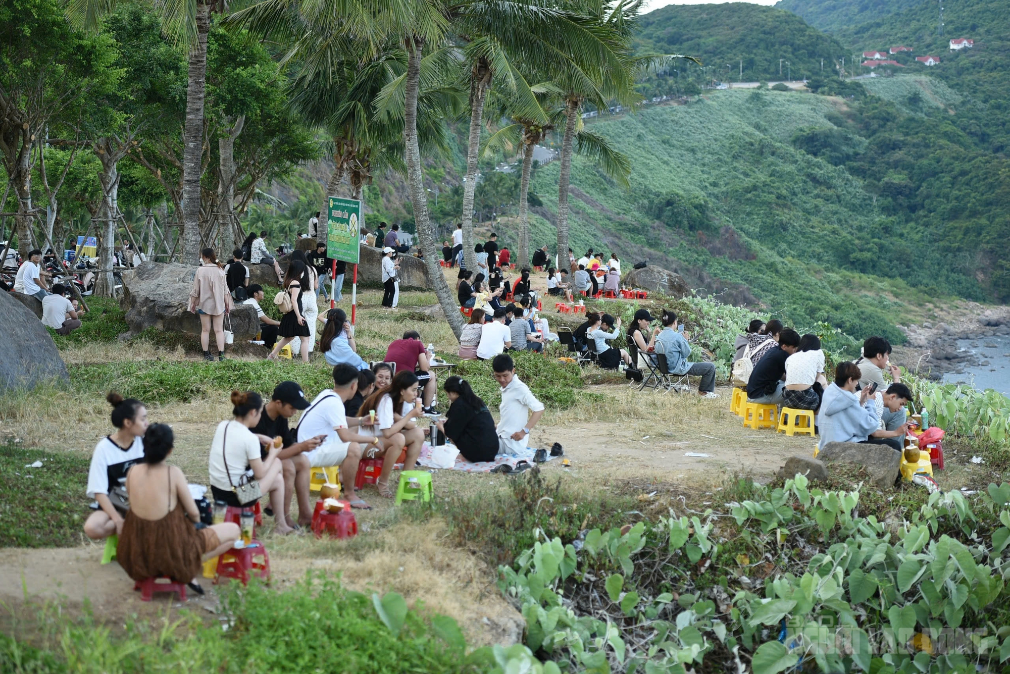 Phát triển bán đảo Sơn Trà thành biểu tượng du lịch sinh thái xanh tại Đà Nẵng - Ảnh 3. Phát triển bán đảo Sơn Trà thành biểu tượng du lịch sinh thái xanh tại Đà Nẵng - Ảnh 3.