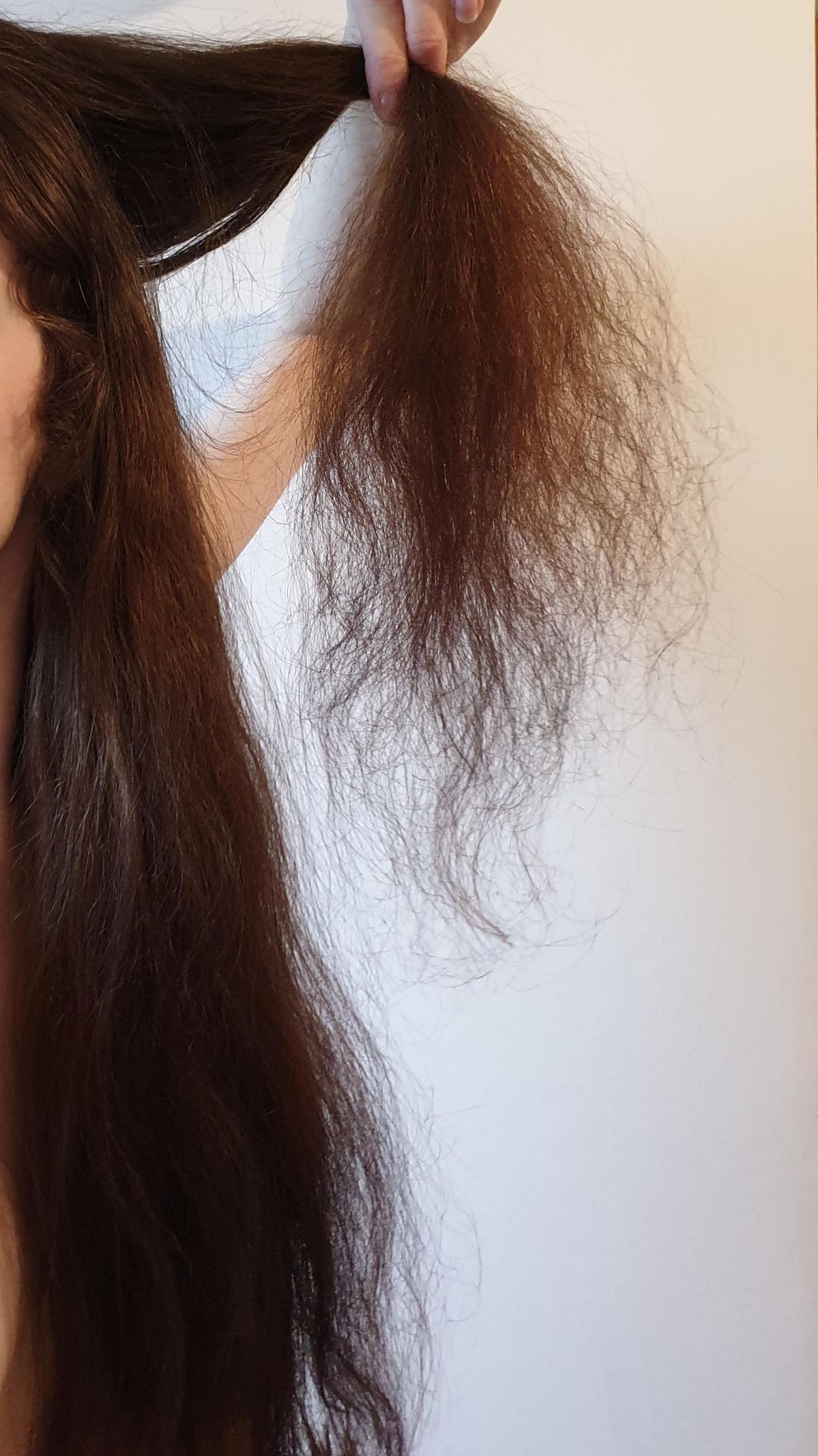 1760973913 255 Toi da phuc hoi mai toc kho xo gay rung