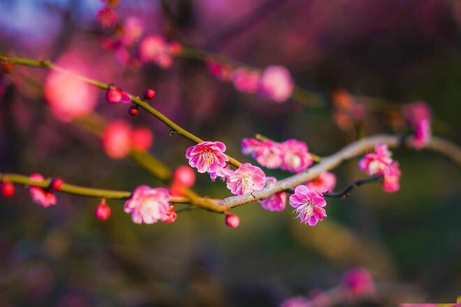 Khả năng tuyệt vời nhất của người phụ nữ gói gọn trong 1 chữ này - 3