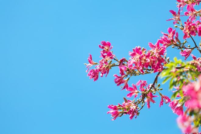 Khả năng tuyệt vời nhất của người phụ nữ gói gọn trong 1 chữ này - 4