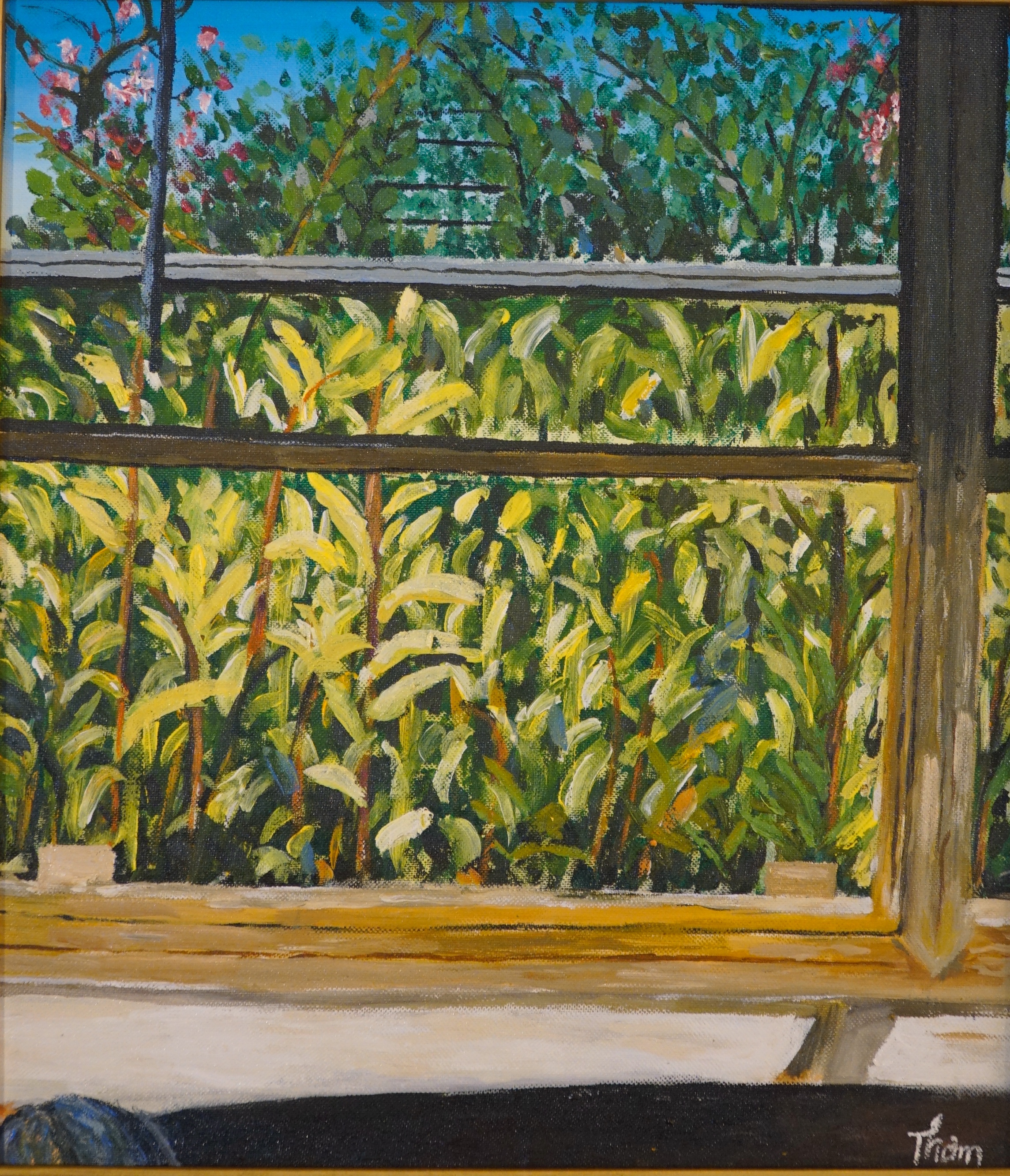 Cậu bé câm, cô bé ‘tròn’ tô màu cho ‘thế giới quanh tôi’ - Ảnh 2.