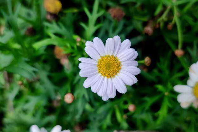 Cuộc đời này, người thân thiết nhất với ta chỉ có một - 2