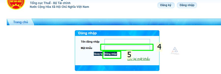 Bán hàng kiếm đồng ra đồng vào: Làm sao biết mình có đang nợ thuế hay không?- Ảnh 7. Bán hàng kiếm đồng ra đồng vào: Làm sao biết mình có đang nợ thuế hay không?- Ảnh 7.