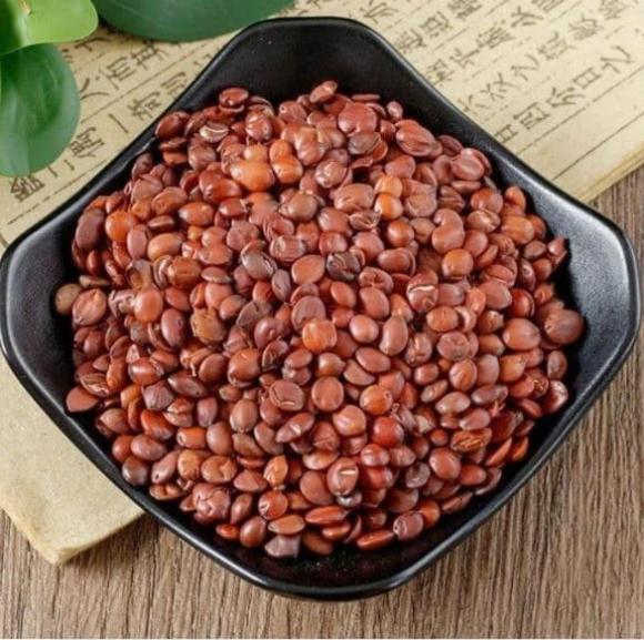 Táo nhân, công dụng của táo nhân